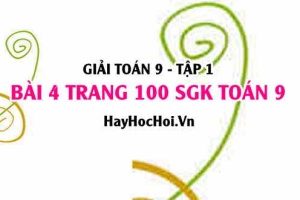 Giải bài 4 trang 100 SGK Toán 9 tập 1